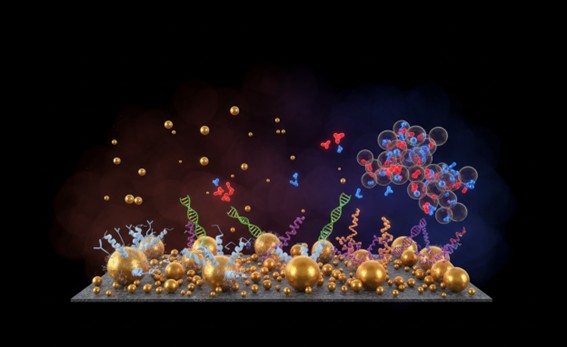 Antibody/DNA/peptide-functionalized gold nanoparticles for biosensors.