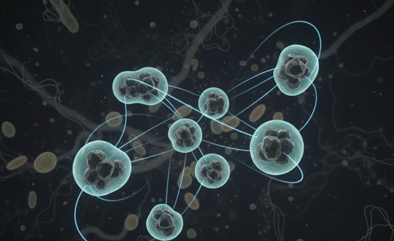 Polymer-coated superparamagnetic iron oxide nanoparticles (magnetic response).