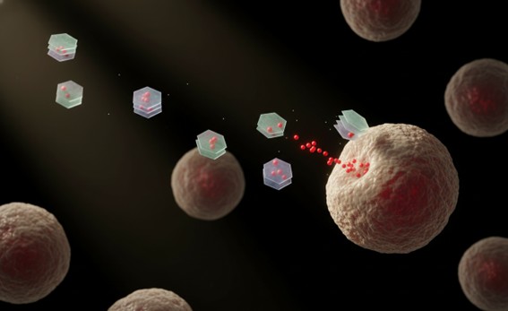  LDH nanoparticles for cell-targeted interlayer drug delivery.