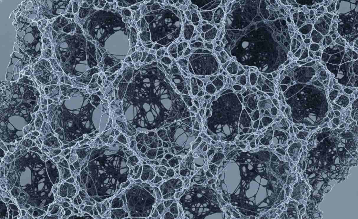 3D network structure of carbon nanotube sponge from SEM imaging.