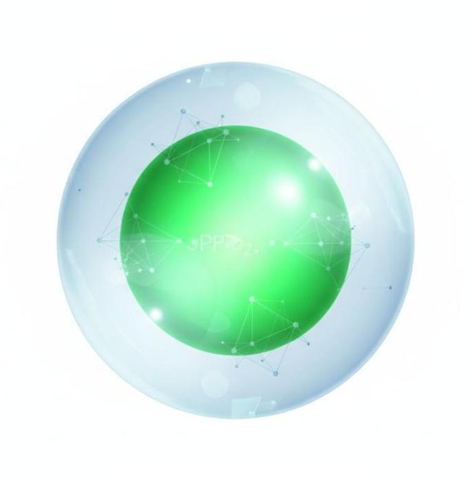 Core-shell perovskite nanocrystal with CsPbBr3 core enclosed in a protective silica shell