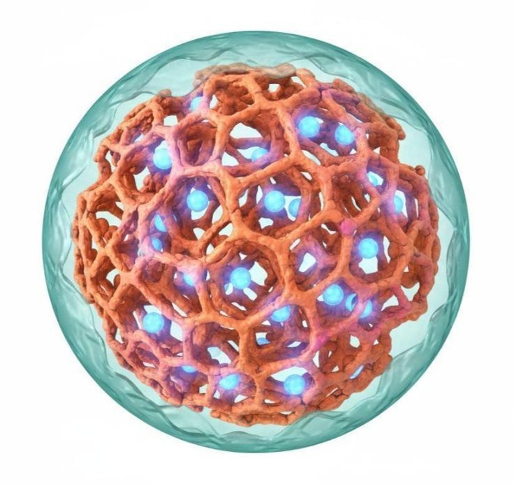 Polymeric core-shell nanoparticle featuring a drug-loaded PLGA core and a protective PEG shell