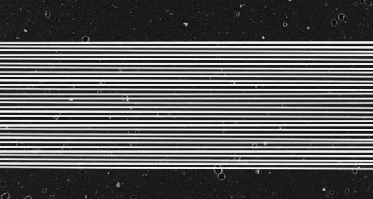 SEM of highly aligned parallel electrospun nanofibers with uniform directional orientation for anisotropic applications