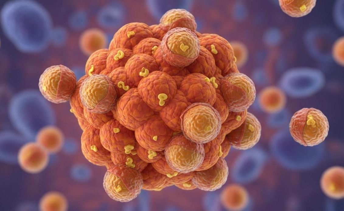 Cancer cell membrane-coated nanoparticles demonstrating homotypic targeting and preferential tumor accumulation