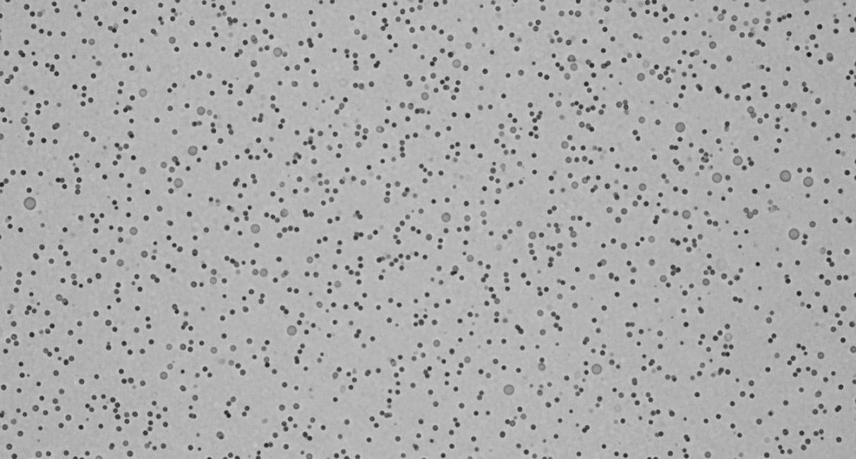TEM image of monodisperse spherical silver nanoparticles uniformly distributed on a supporting grid