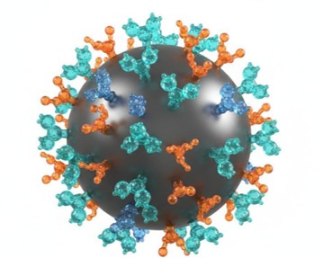 3D rendering of a spherical nanoparticle surface decorated with multicolored molecular ligands representing diverse functional groups