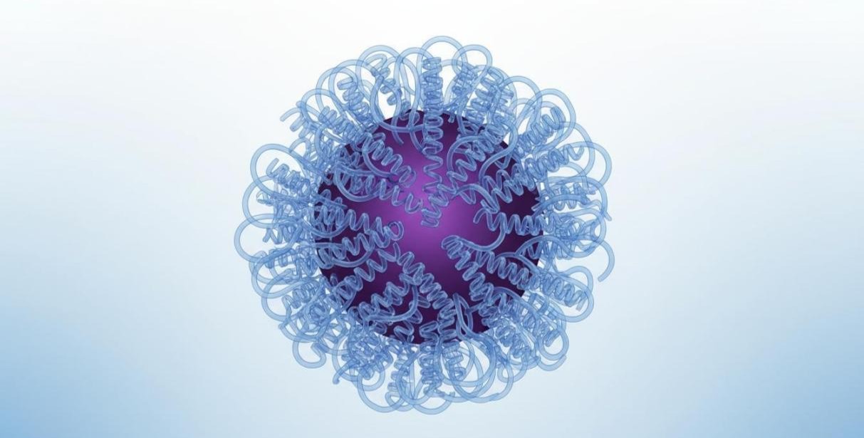 PEGylated nanoparticle with coiled polyethylene glycol chains forming a protective hydration shell around the core