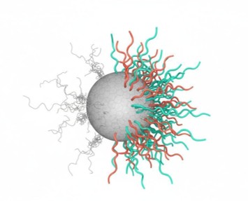 Ligand exchange schematic showing original gray ligands replaced by teal and coral functional polymer chains on a nanoparticle surface