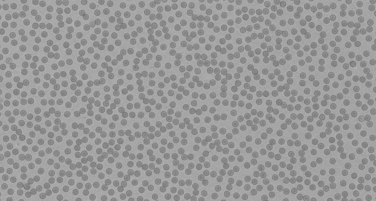 TEM image of monodisperse spherical core-shell nanoparticles with uniform lighter shells surrounding darker cores