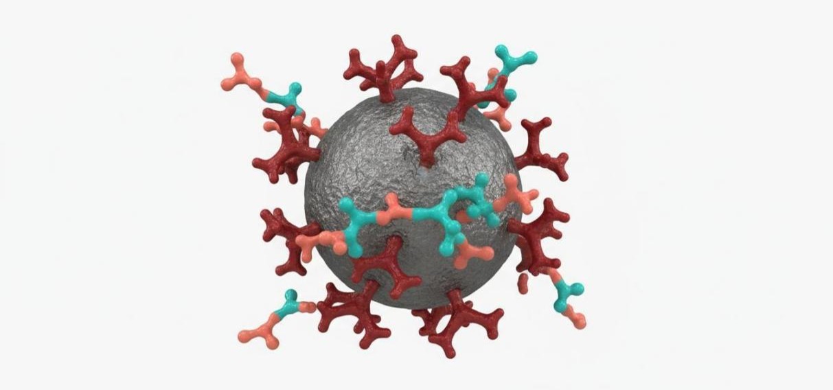 A 3D molecular visualization showing activation reagents in teal and coral interacting with red functional groups on a gray magnetic nanoparticle surface.