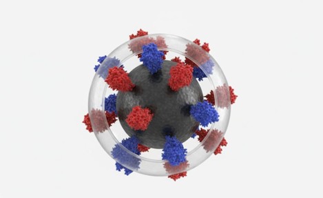 An activated magnetic nanoparticle with a silica shell displaying red and blue surface functional groups ready for bioconjugation.