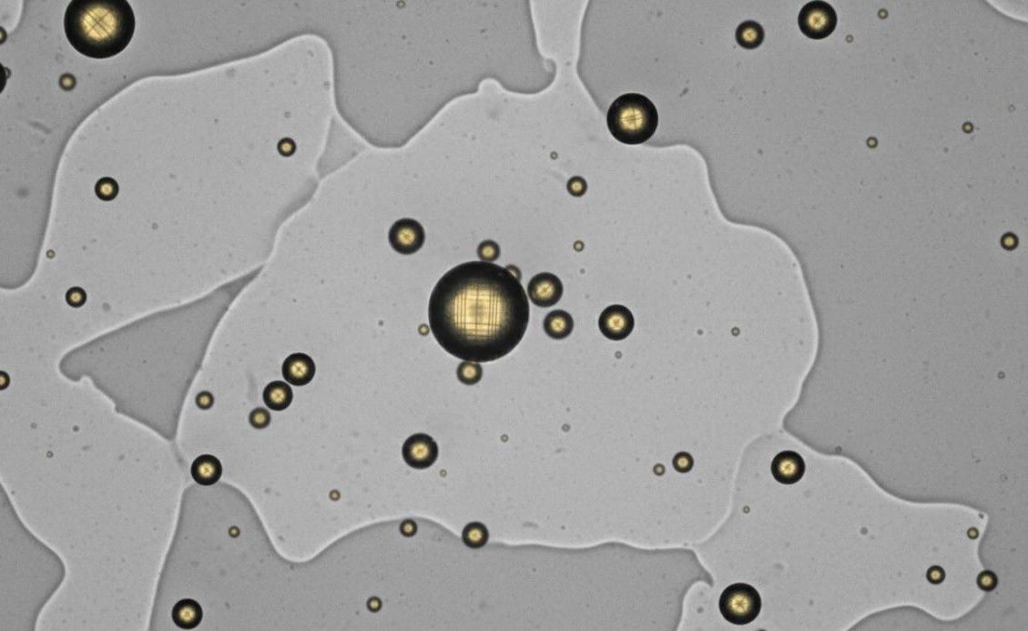 High-resolution TEM image of spherical nanoparticles with crystalline lattice fringes on a carbon support film