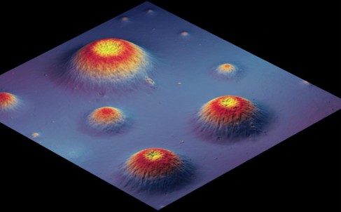 Color-coded 3D AFM topographic image showing spherical nanoparticles as dome-like features on a substrate