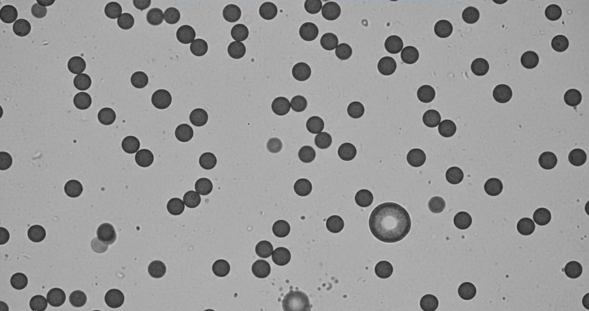TEM image showing monodisperse spherical polymeric nanoparticles with distinct core-shell morphology on carbon support film