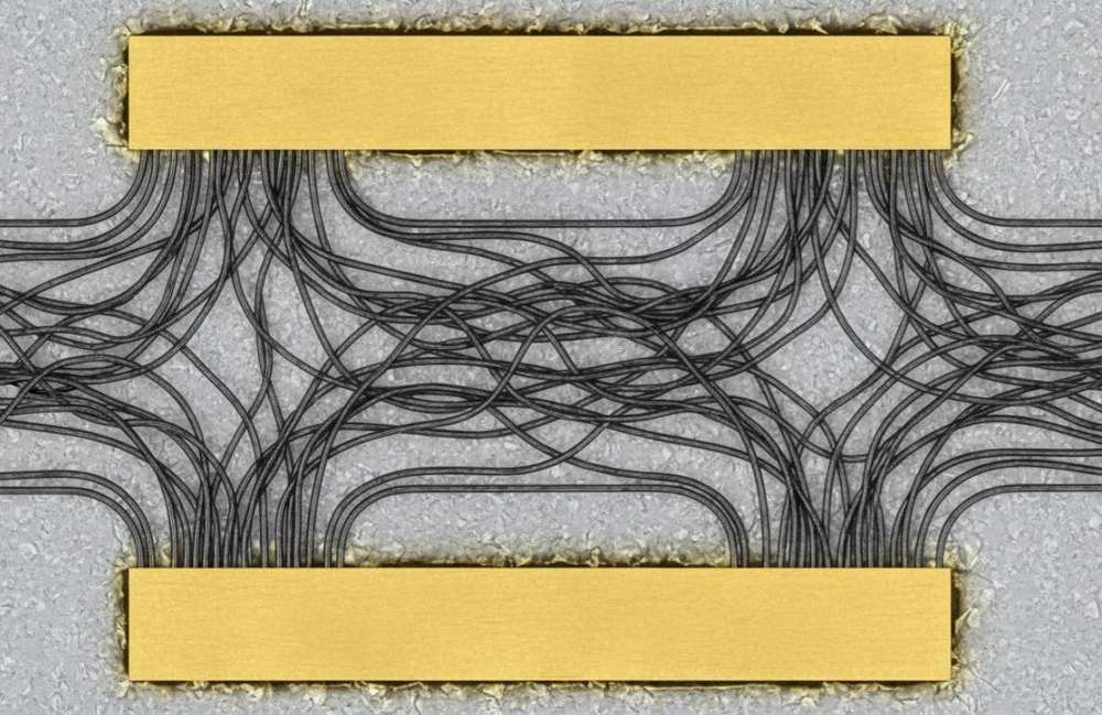 CNT-FET biosensor chip showing network of semiconducting SWCNTs bridging gold source-drain electrodes
