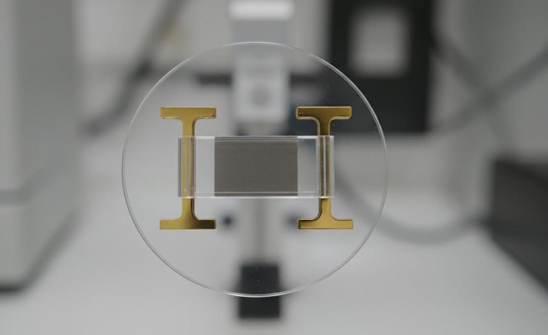 Graphene-FET biosensor with single-layer graphene channel between gold electrodes on SiO₂ substrate with integrated microfluidics