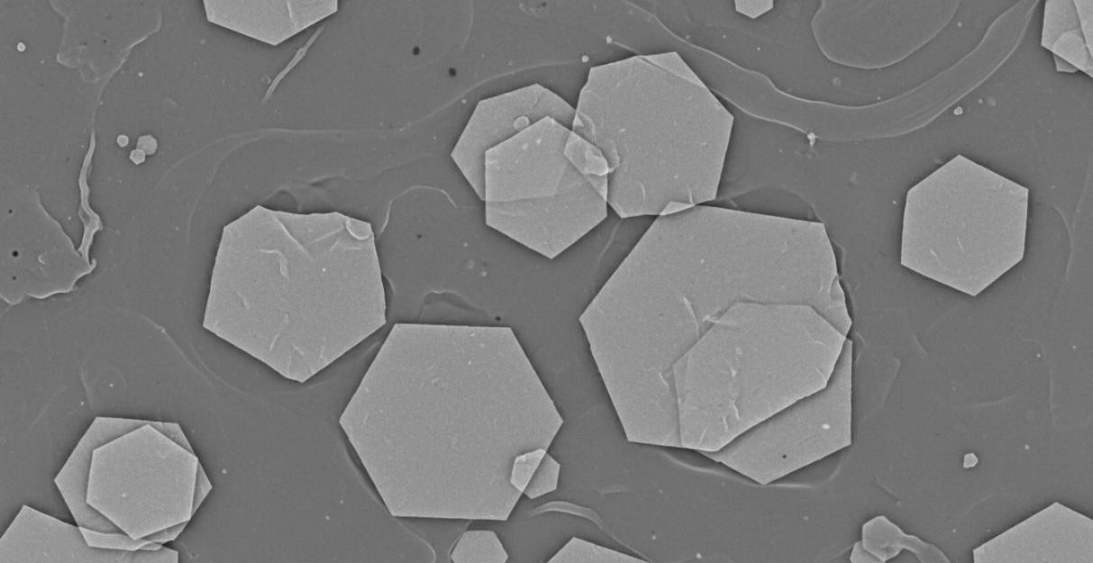 SEM image showing hexagonal boron nitride nanosheets overlapping in polymer matrix creating thermally conductive pathways