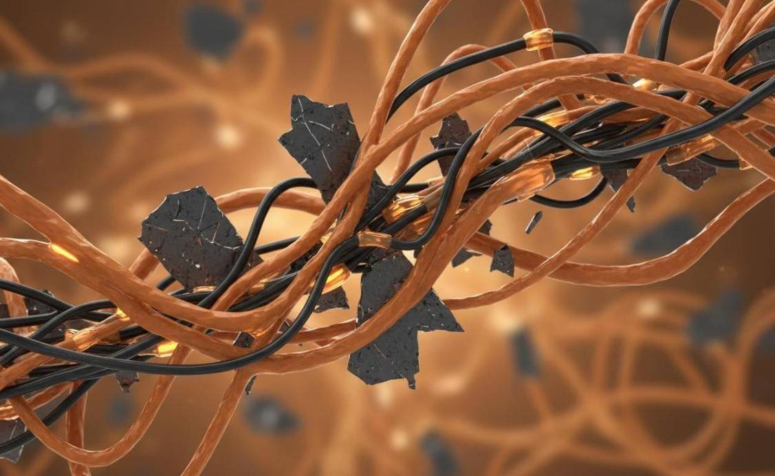 Carbon nanotubes and graphene platelets integrated within a polymer matrix for enhanced properties